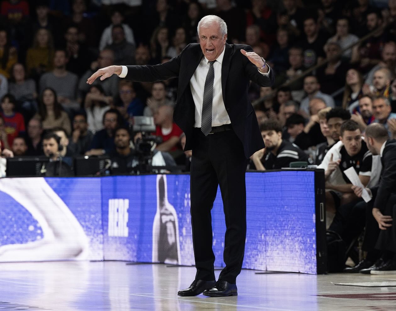 zeljko obradovic